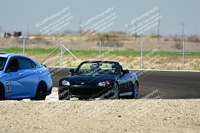 media/Mar-01-2025-Turn8 Trackdays (Sat) [[3bac13d0ad]]/Inter 1/Session 3 (Turns 10 and 11 Outside)/